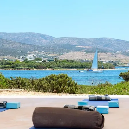 Glaros 公寓 安迪帕罗斯岛