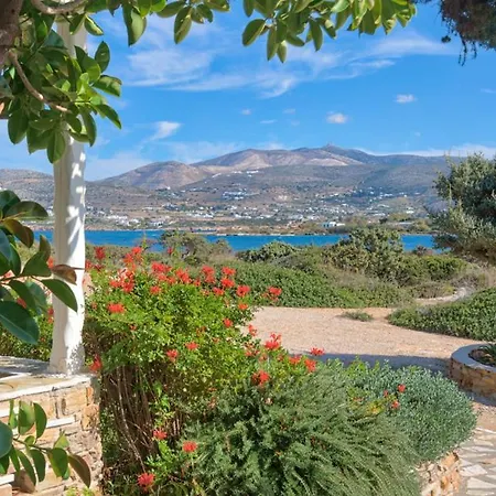 Glaros Antiparos Town